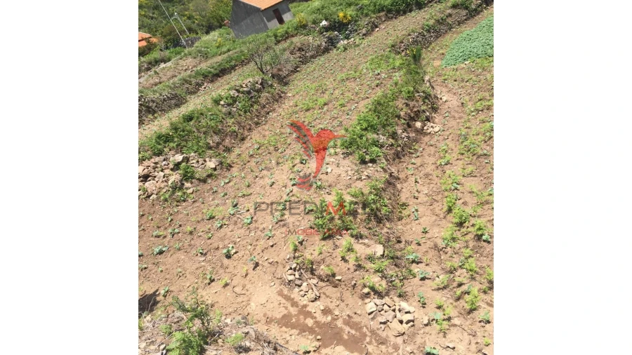 Terreno para Venda em Serra de Agua Foto 3