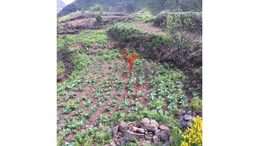 Terreno para Venda em Serra de Agua Foto 2