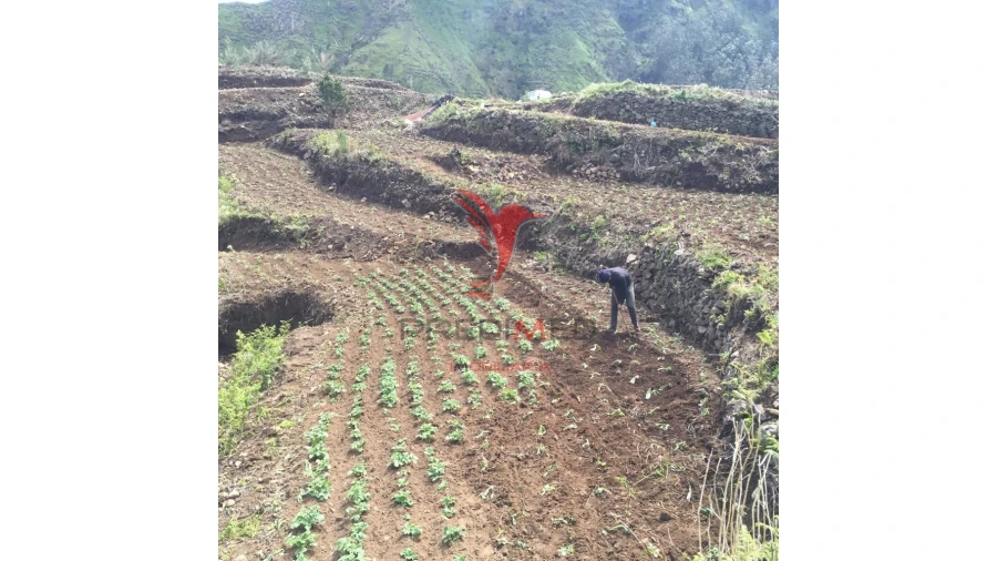 Terreno para Venda em Serra de Agua Foto 8