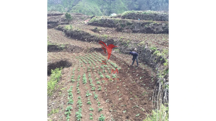 Terreno para Venda em Serra de Agua Foto 4