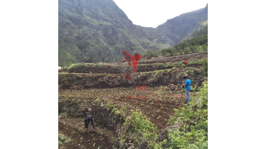 Terreno para Venda em Serra de Agua Foto 10