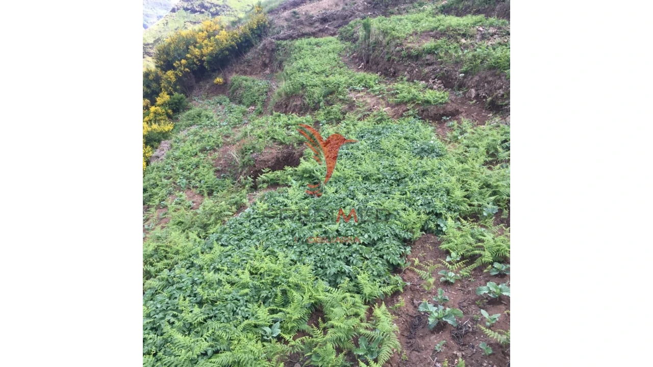 Terreno para Venda em Serra de Agua Foto 5