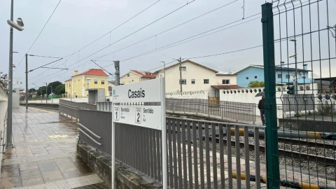 Terreno para Venda em São Martinho de Árvore e Lamarosa