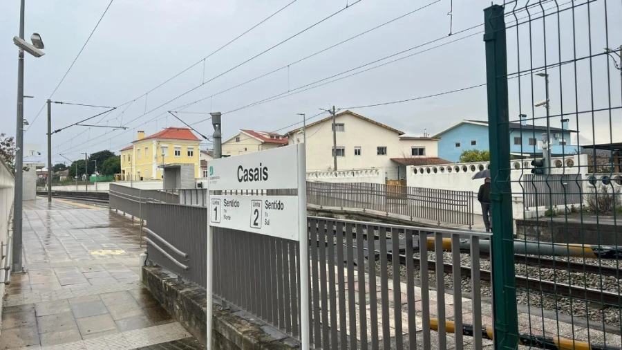 Terreno para Venda em São Martinho de Árvore e Lamarosa Foto 2