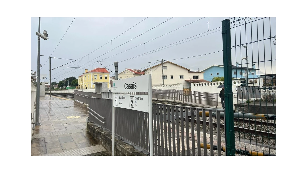 Terreno para Venda em São Martinho de Árvore e Lamarosa Foto 2