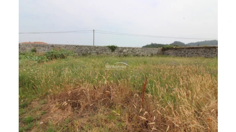 Terreno para Venda em Antas