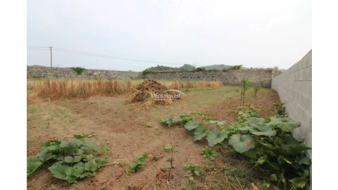 Terreno para Venda em Antas