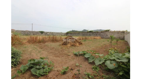 Terreno para Venda em Antas