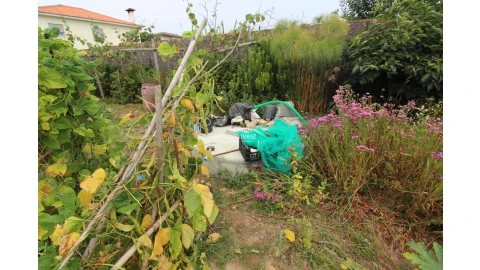 Terreno para Venda em Antas