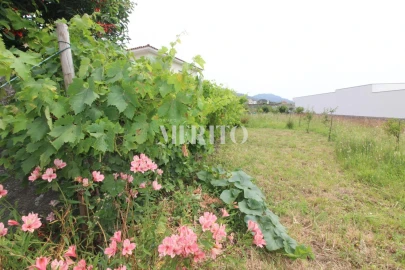 Terreno para Venda em Antas