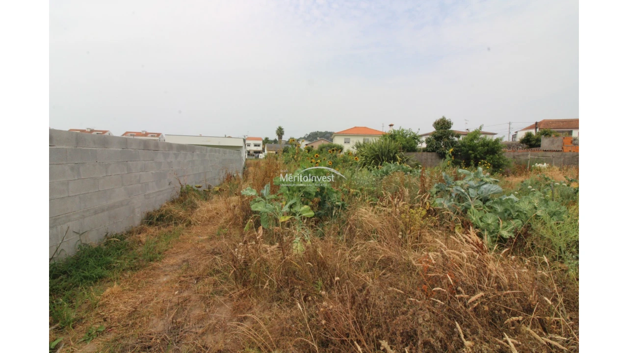 Terreno para Venda em Antas Foto 6