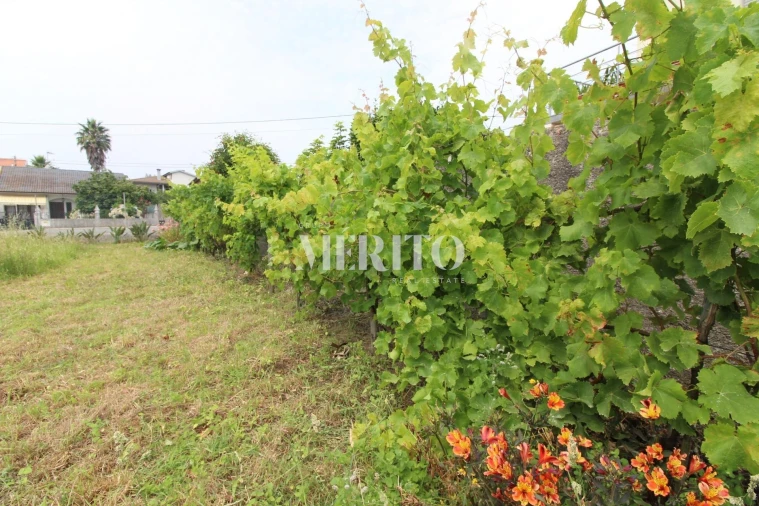 Terreno para Venda em Antas Foto 17