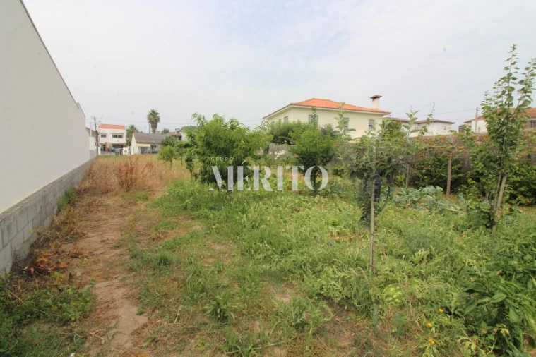 Terreno para Venda em Antas Foto 16