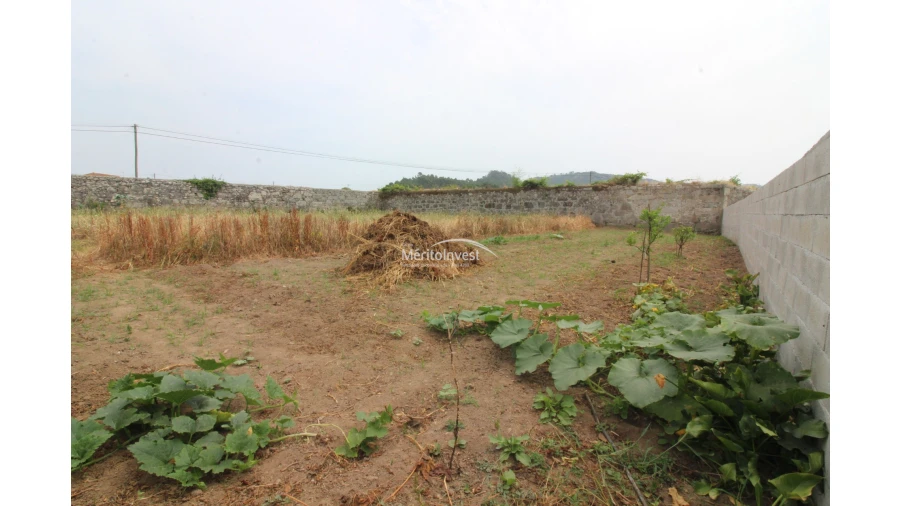 Terreno para Venda em Antas Foto 9