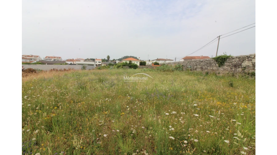 Terreno para Venda em Antas Foto 14