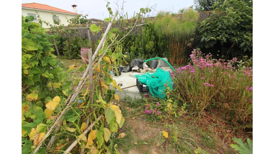 Terreno para Venda em Antas Foto 3