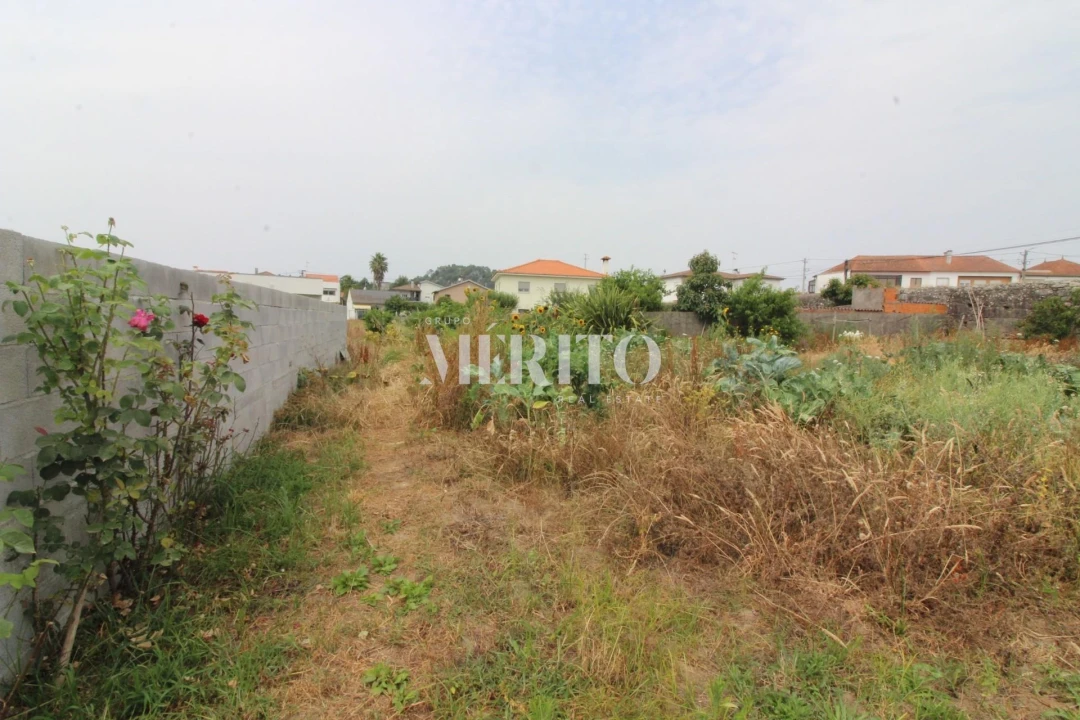 Terreno para Venda em Antas Foto 15