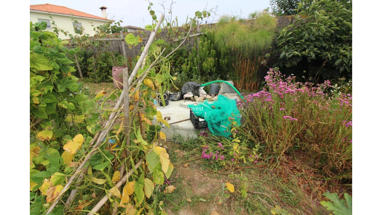 Terreno para Venda em Antas Foto 3