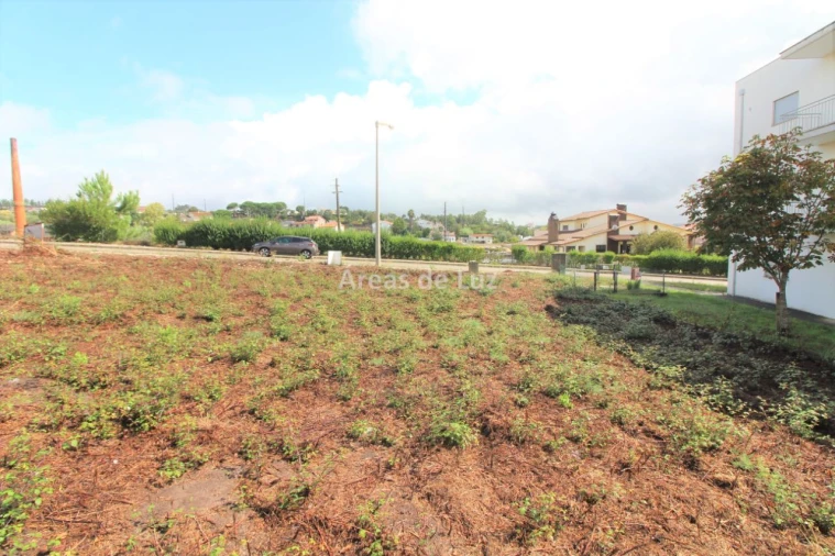 Terreno para Venda em Louriçal Foto 4