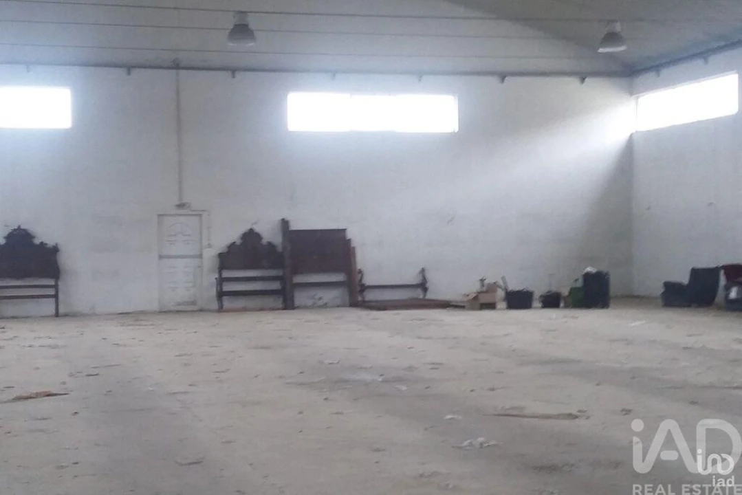 Negócio para Venda em Constantim e Vale de Nogueiras Foto 17