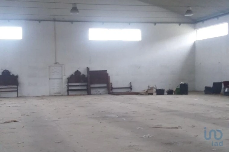 Negócio para Venda em Constantim e Vale de Nogueiras Foto 2