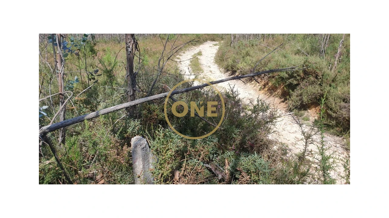 Terreno para Venda em Bougado (São Martinho e Santiago) Foto 6