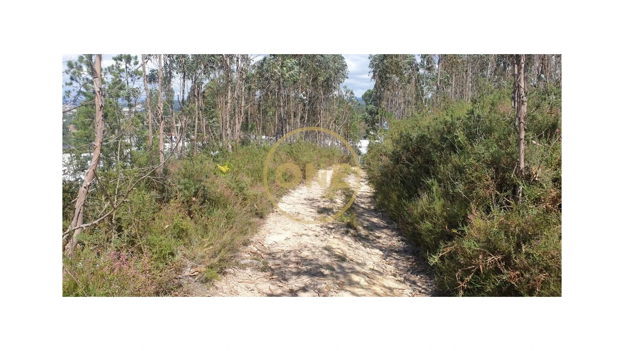 Terreno para Venda em Bougado (São Martinho e Santiago) Foto 9