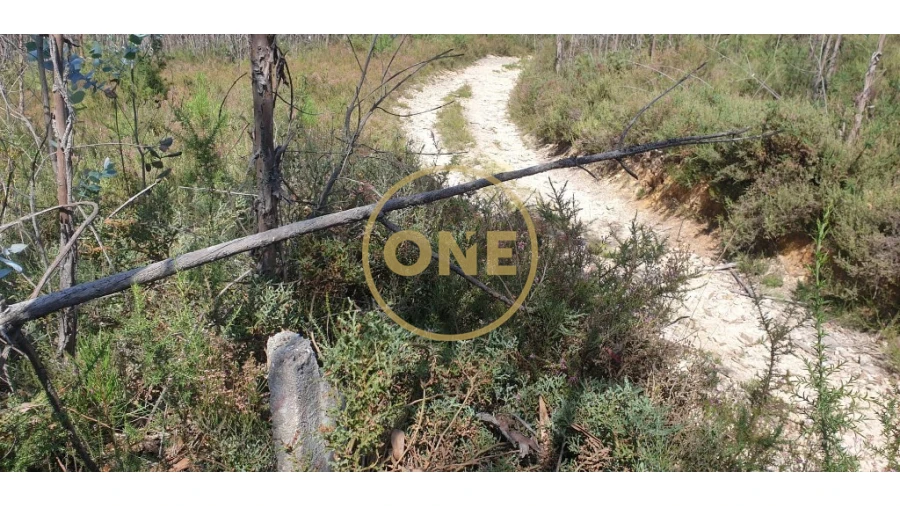 Terreno para Venda em Bougado (São Martinho e Santiago) Foto 6