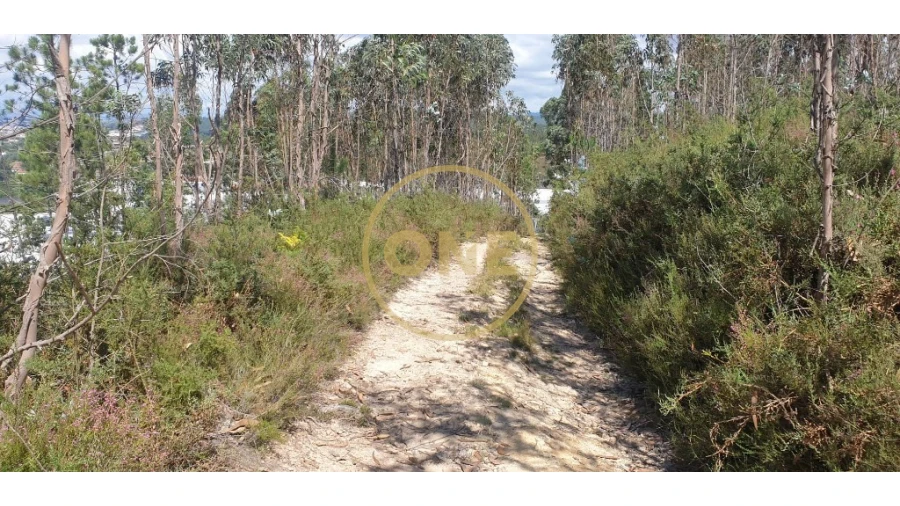 Terreno para Venda em Bougado (São Martinho e Santiago) Foto 9