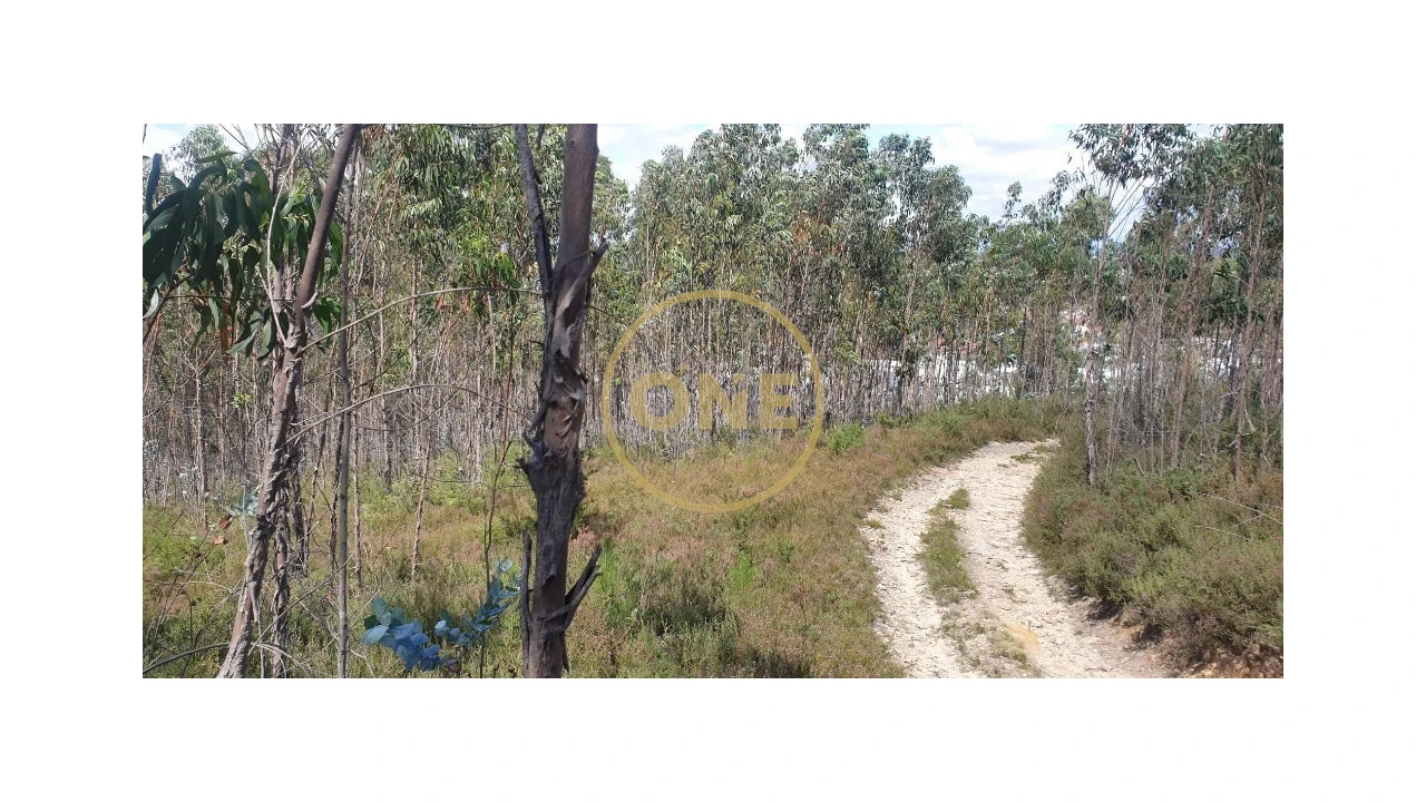 Terreno para Venda em Bougado (São Martinho e Santiago) Foto 13