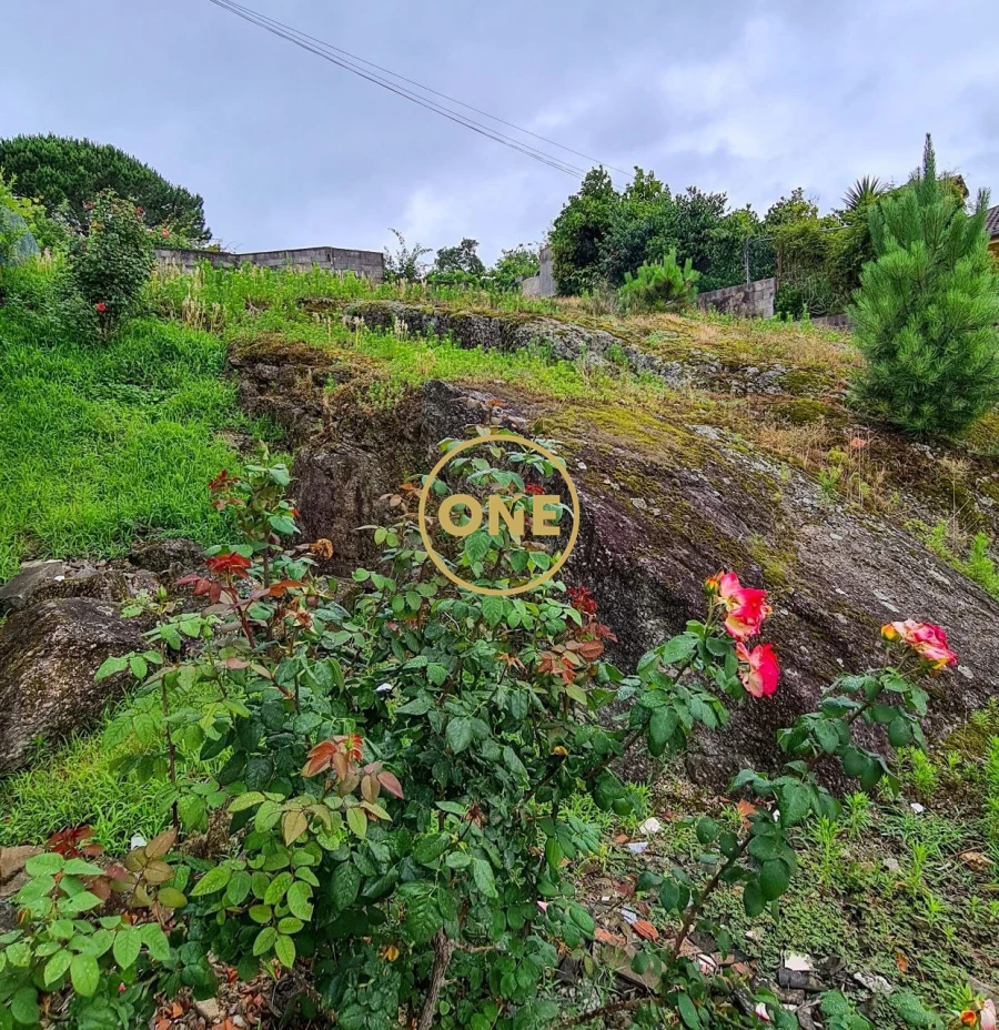 Terreno para Venda em Celeirós, Aveleda e Vimieiro Foto 8
