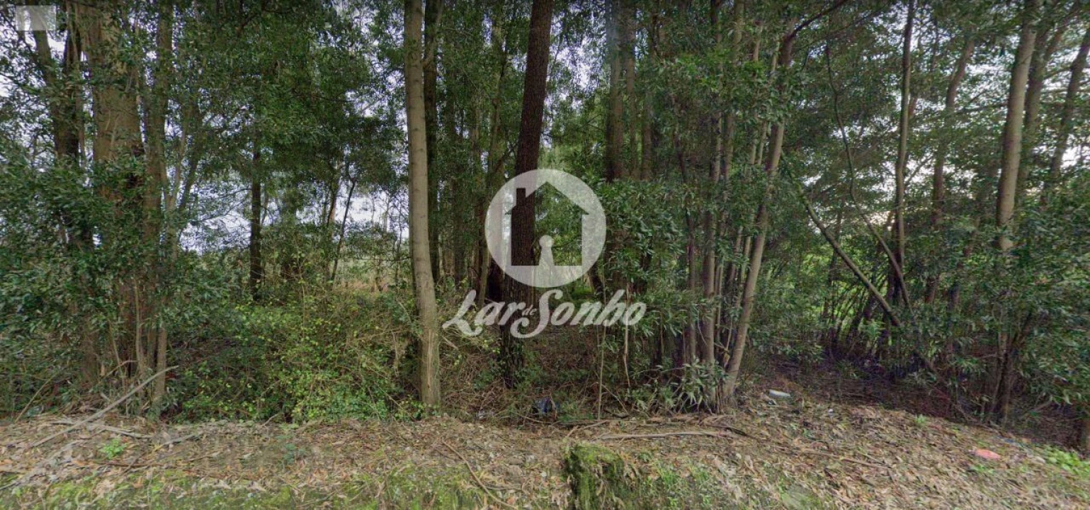 Terreno Agricola ou Rústico para Venda em Modivas Foto 1