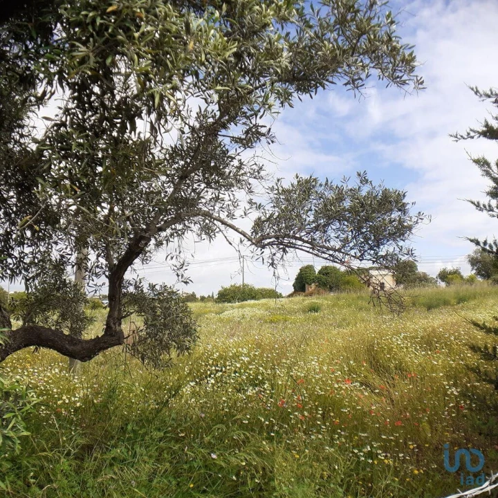 Terreno para Venda em Tavira (Santa Maria e Santiago) Foto 2