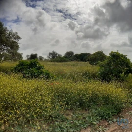 Terreno para Venda em Tavira (Santa Maria e Santiago)