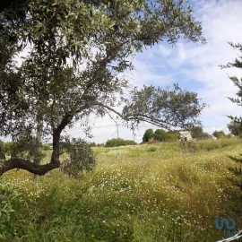 Terreno para Venda em Tavira (Santa Maria e Santiago)