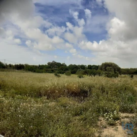 Terreno para Venda em Tavira (Santa Maria e Santiago)