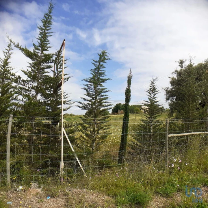 Terreno para Venda em Tavira (Santa Maria e Santiago) Foto 5