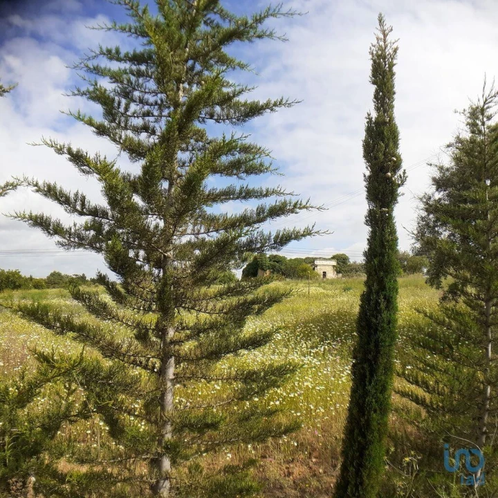Terreno para Venda em Tavira (Santa Maria e Santiago) Foto 3