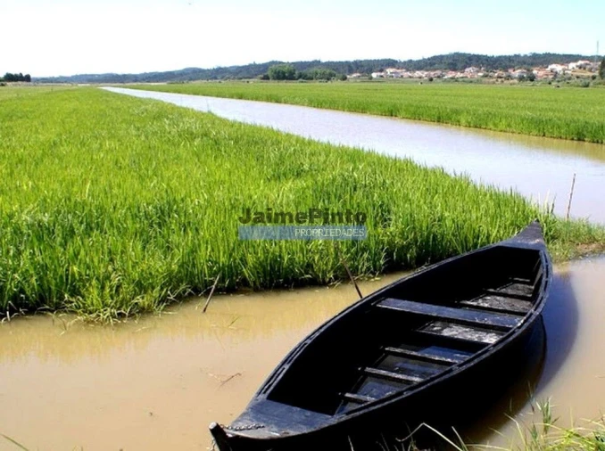 Terreno P/ Prédio para Venda em Tavarede Foto 8
