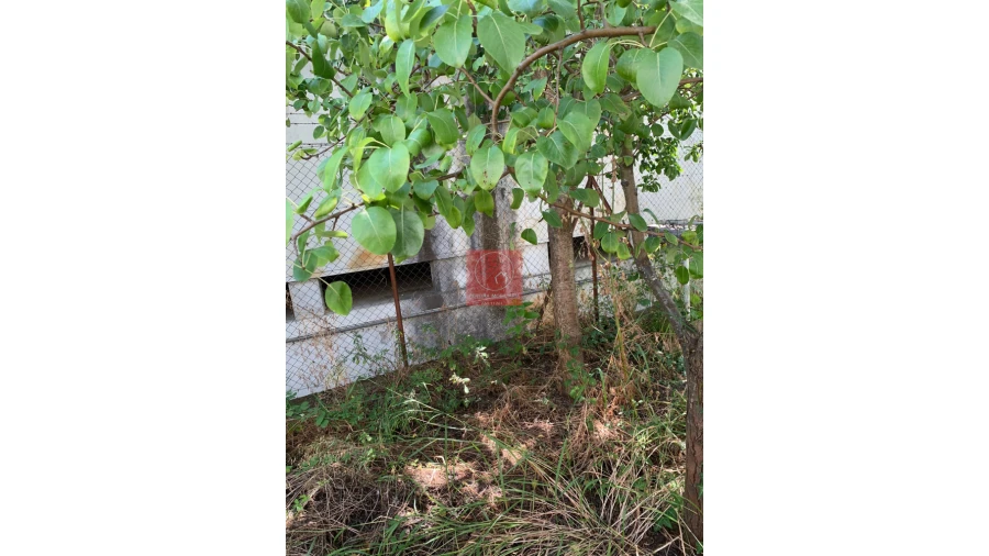 Moradia T5 para Venda em Peso da Régua e Godim Foto 69