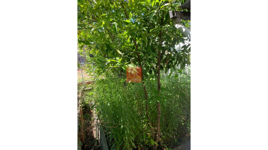 Moradia T5 para Venda em Peso da Régua e Godim Foto 75