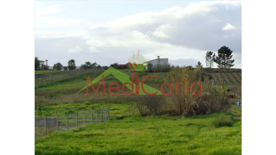 Terreno para Venda em Vila Chã de Ourique Foto 2