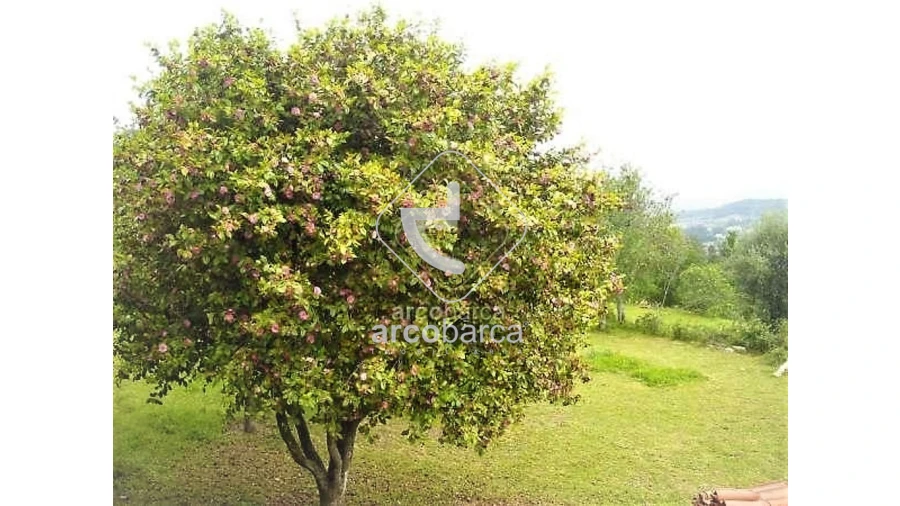 Moradia T5 para Venda em Aguiã Foto 15