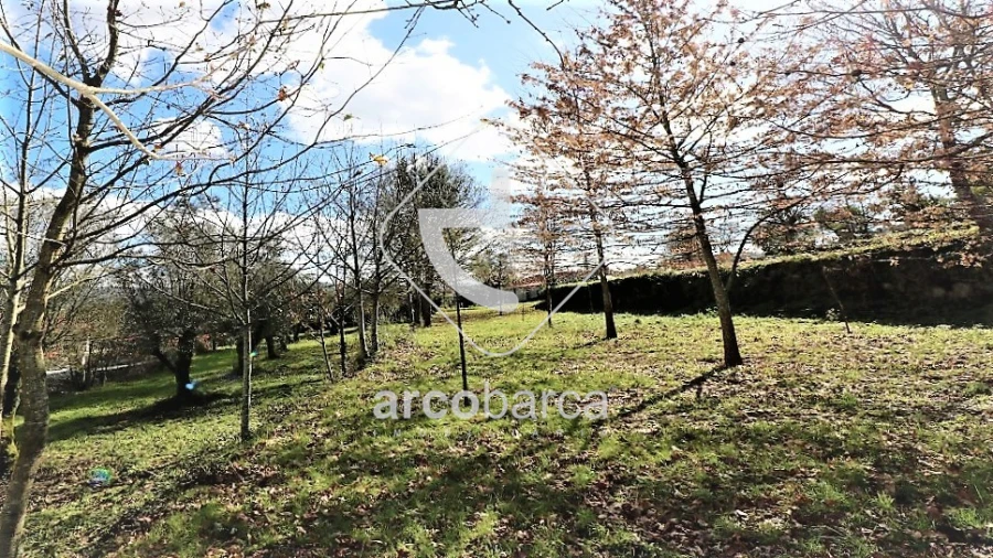 Moradia T5 para Venda em Aguiã Foto 16