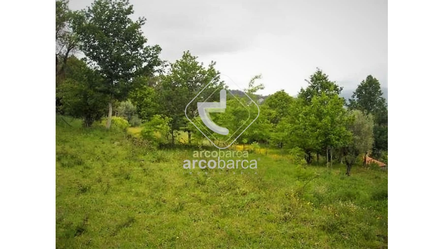 Moradia T5 para Venda em Aguiã Foto 13