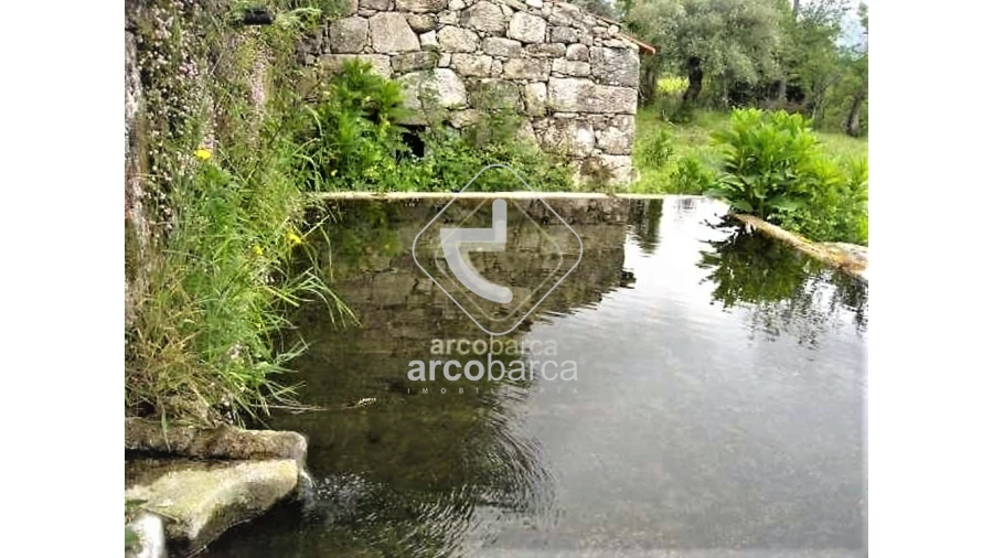 Moradia T5 para Venda em Aguiã Foto 14