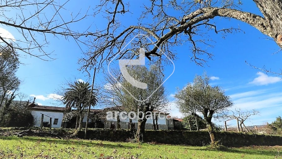 Moradia T5 para Venda em Aguiã Foto 18