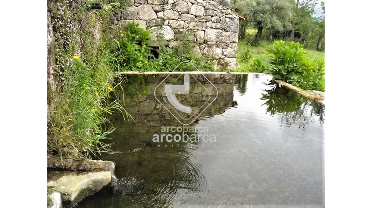 Moradia T5 para Venda em Aguiã Foto 14