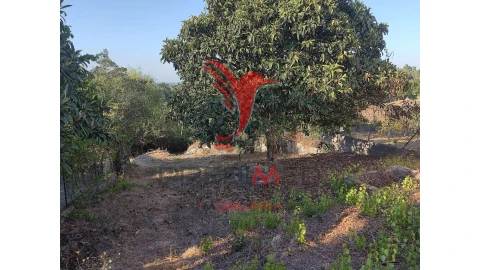 Terreno para Venda em Nossa Senhora das Misericordias