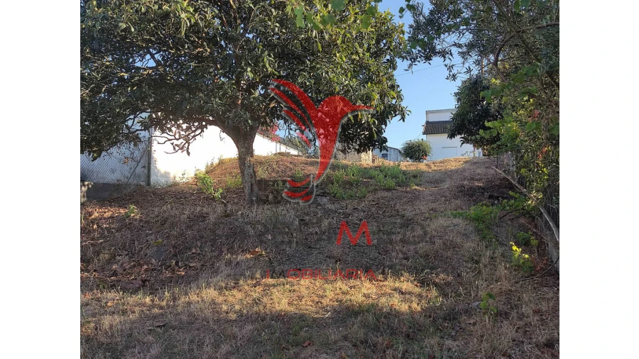 Terreno para Venda em Nossa Senhora das Misericordias Foto 4